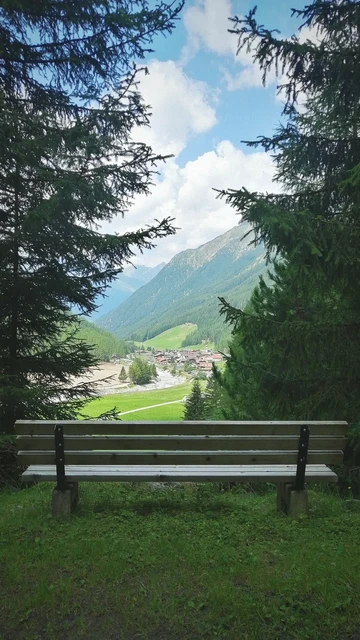 Eine Bank mit tollem Panorama auf die Alpen, durch Tannen