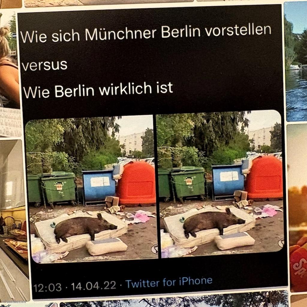 Ein Screenshot eines Memes auf schwarzem Hintergrund mit dem Text:

„Wie sich Münchner Berlin vorstellen versus Wie Berlin wirklich ist“.

Darunter stehen zwei völlig identische Bilder nebeneinander. Sie zeigen ein Wildschwein, das gemütlich auf einer entsorgten Matratze samt Kissen neben mehreren Mülltonnen und herumliegendem Unrat auf dem Bürgersteig schläft.